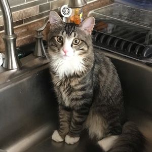 Meet your Posher, Haley